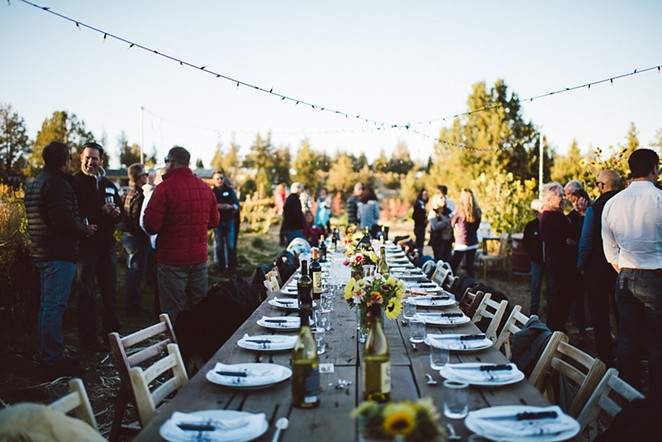 Long Table Dinner out on the Farm