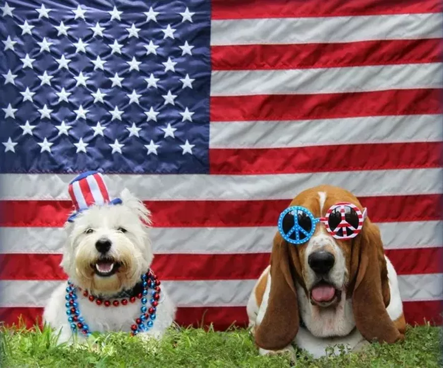 4th_of_july_640c-2.webp