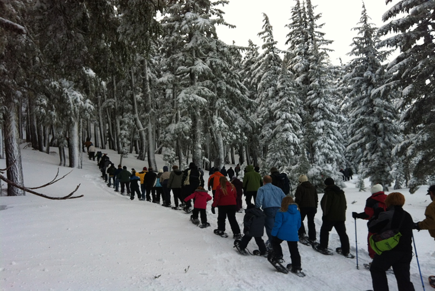c018d22d_winter_volunteer13.png