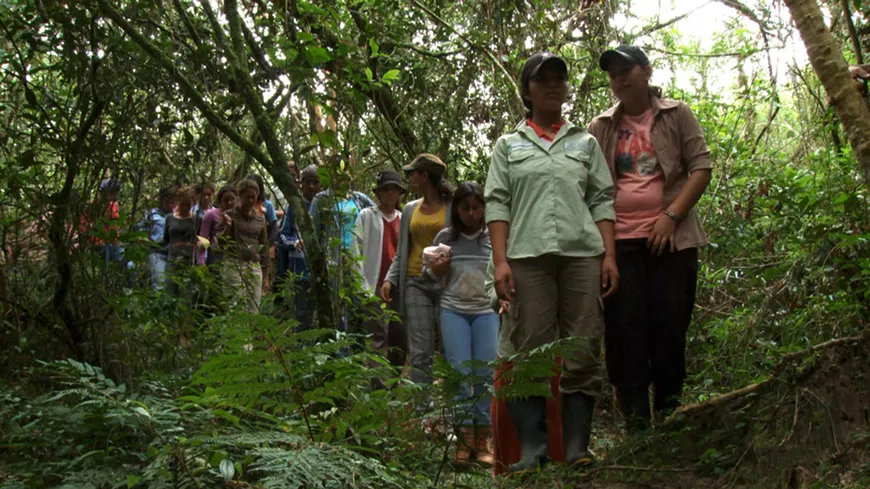 daughtersoftheforest.webp