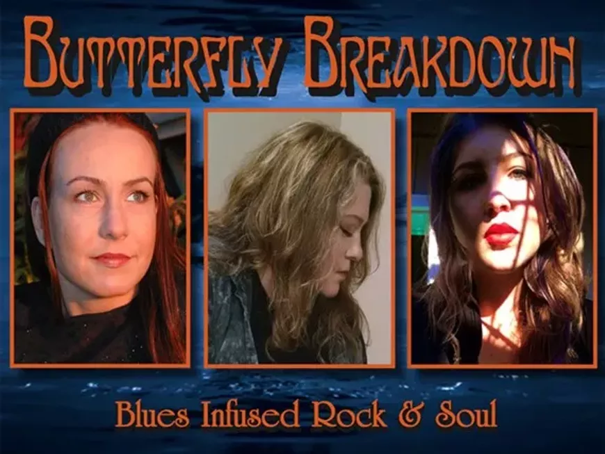 26a9a80f_butterflybreakdown2017.webp