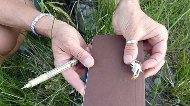 Nature Journaling, Camp Polk Meadow Preserve