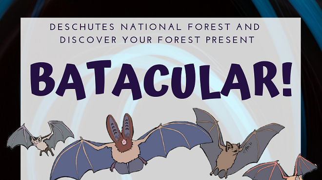Image: Batacular!