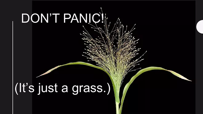 Image: Don't Panic! (It's Just Grass)