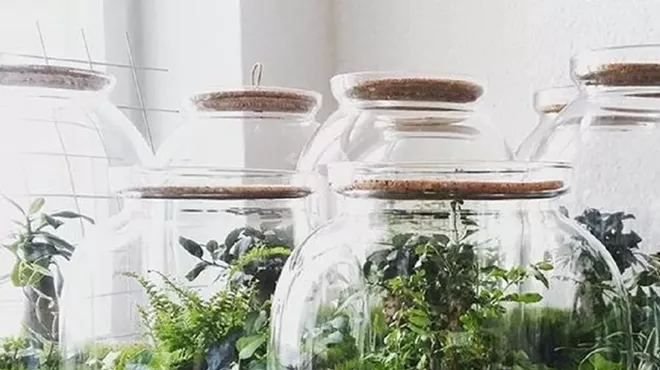 Image: Weekend Workshop: Build a Terrarium
