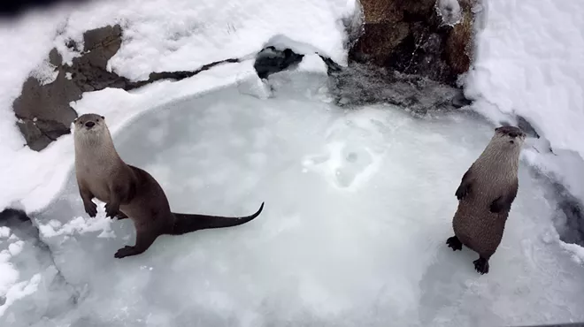Image: Backpack Explorers &ndash; Snow Much Fun