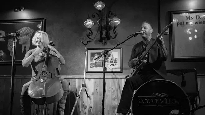 Image: Coyote Willow at the Open Door