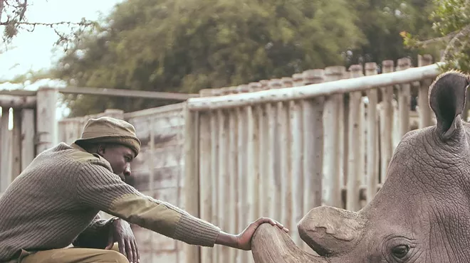 Image: Kifaru - BendFilm Festival Encore