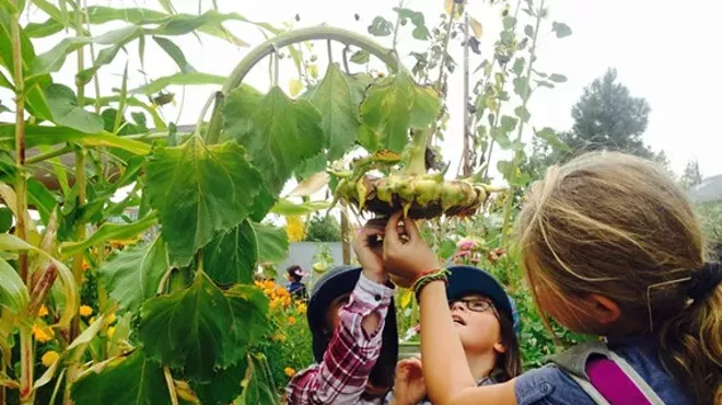 Image: Fall Garden Work Party