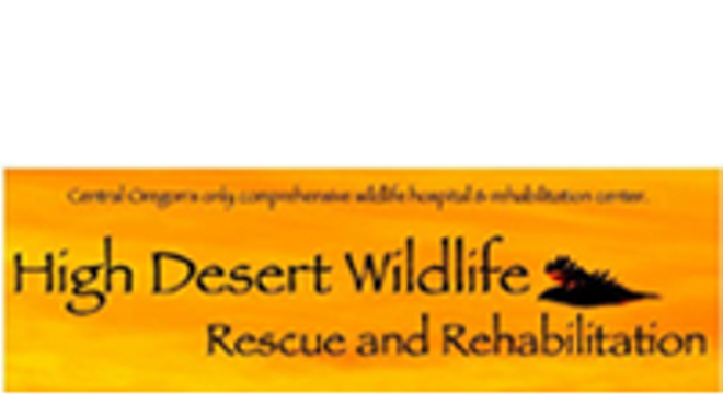 High Desert Wildlife