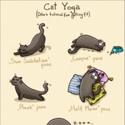 NaMEOWste Cat Yoga