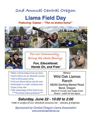Central Oregon Llama Field Day