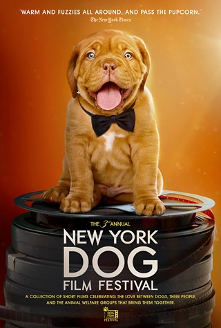 NYC Dog Film Festival