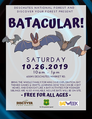 Image: Batacular!