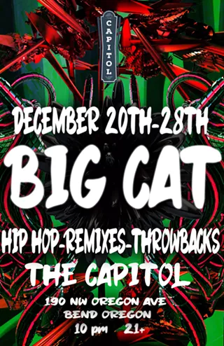 Image: DJ Big Cat