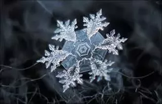 Image: Snow School