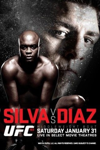 UFC 183: Silva vs. Diaz