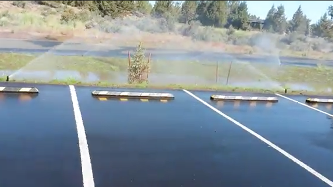 A new water feature at Pine Nursery Park—or overactive sprinklers?
