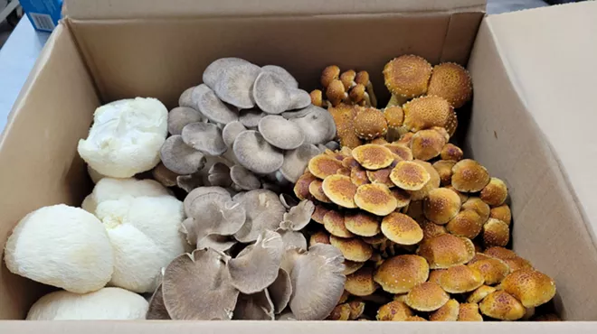 Image: Adult Class - Mushrooms