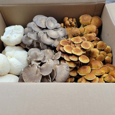 Adult Class - Mushrooms