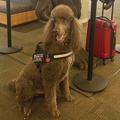 Airport Dogs Share a "Pawsitive" Attitude