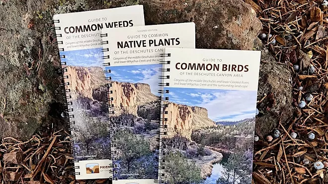 Image: All about Weeds, Native Plants and Birds: meet the authors of FANs&rsquo; field guides