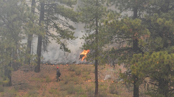 Amid Record Fires and A Worker Shortage, Forest Service Looks To Fill Hundreds Of Openings