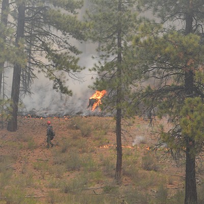 Amid Record Fires and A Worker Shortage, Forest Service Looks To Fill Hundreds Of Openings