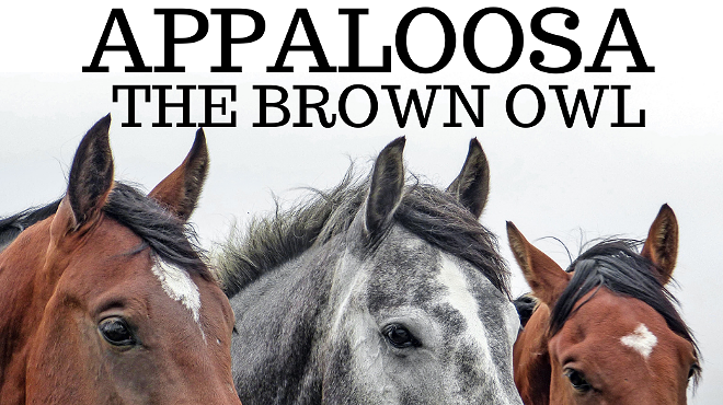 Image: An Evening with Appaloosa