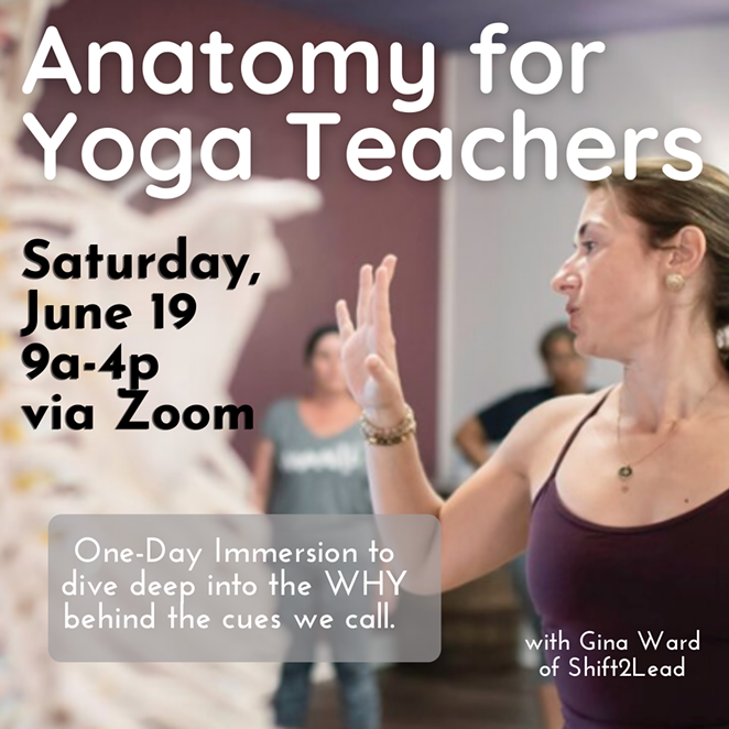 Anatomy for Yoga Teachers