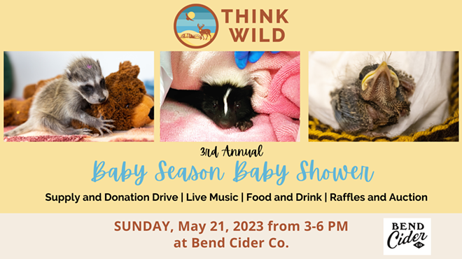 Image: Baby Season Baby Shower