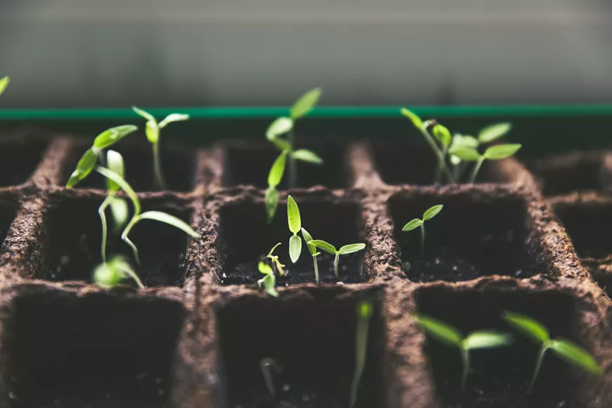 markus-spiske-vrbzvyx2k4i-unsplash.webp
