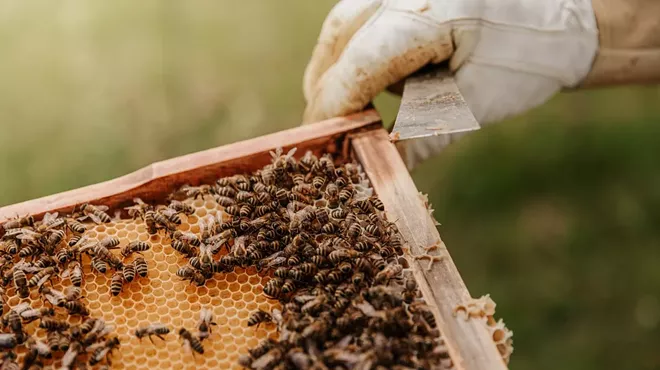Image: Beginning Beekeeping with Ron Lane