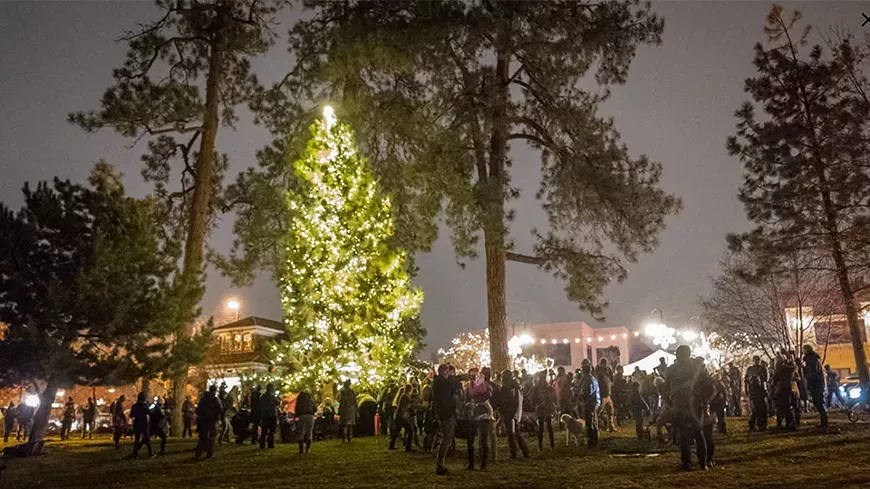 community-tree-lighting.webp