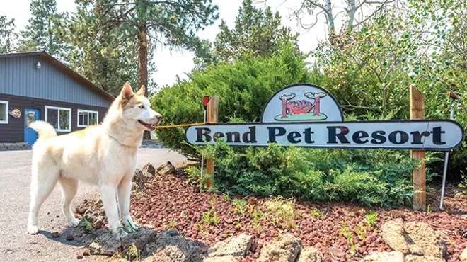 Image: Best Pet Resort