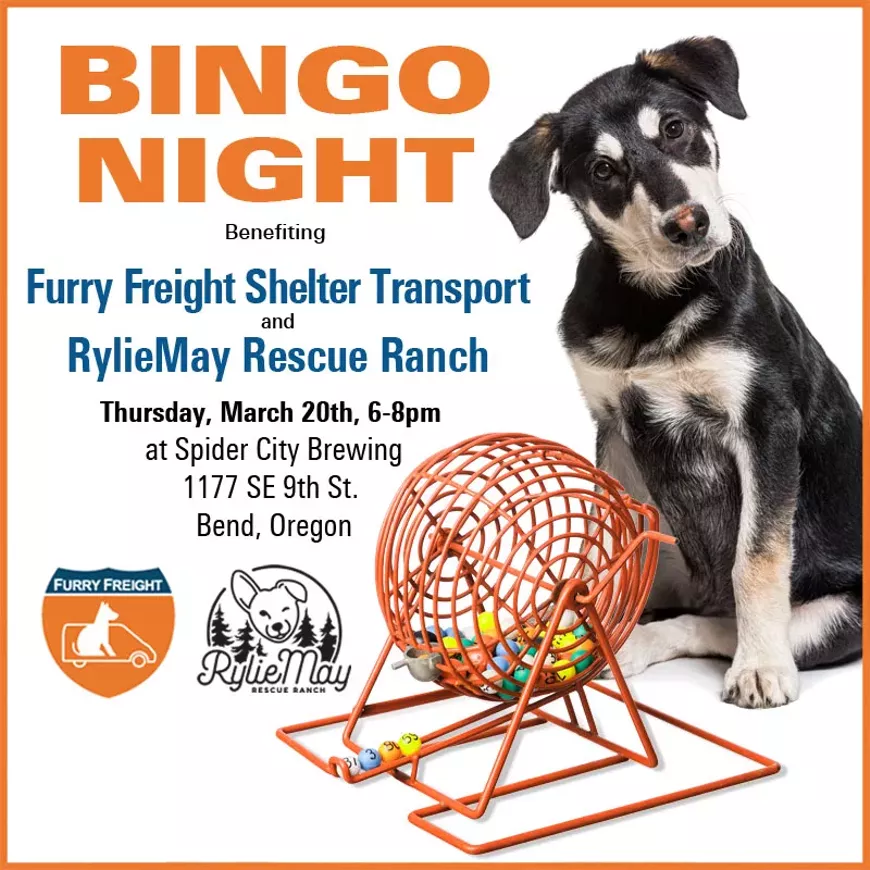 BINGO Night Benefiting Pets in Need!