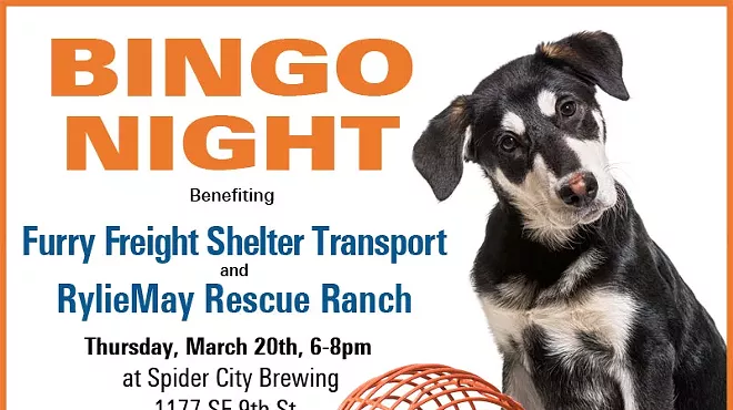 Image: BINGO Benefiting Pets in Need!