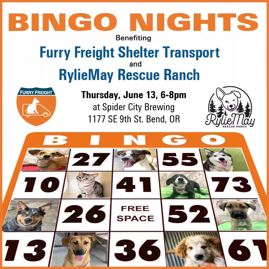 BINGO Night Benefiting Shelter Pets in Need!