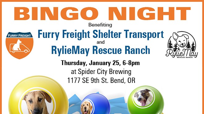 Bingo Benefiting Shelter Pets in Need!