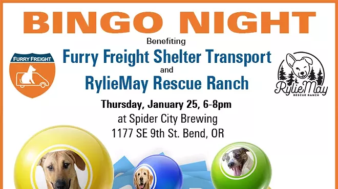 Image: Bingo Benefiting Shelter Pets in Need!