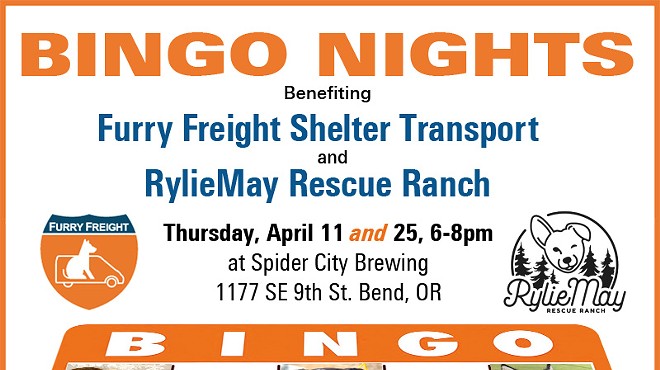 BINGO Benefiting Shelter Pets in Need!