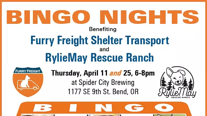 Image: BINGO Benefiting Shelter Pets in Need!