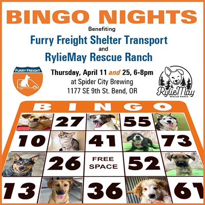 BINGO Nights Benefiting Shelter Pets in Need!