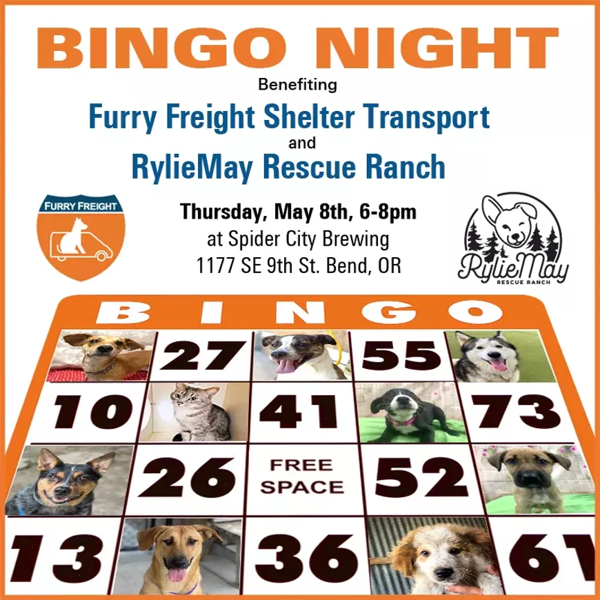 BINGO Night Benefiting Shelter Pets!