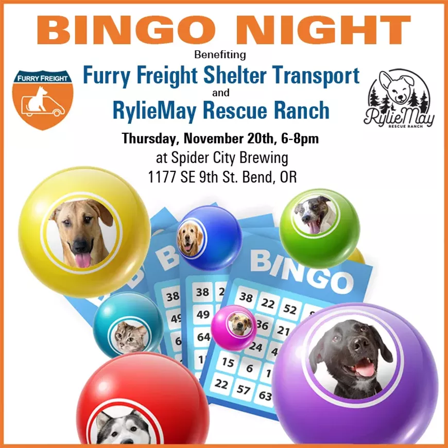 Bingo Benefiting Shelter Pets!