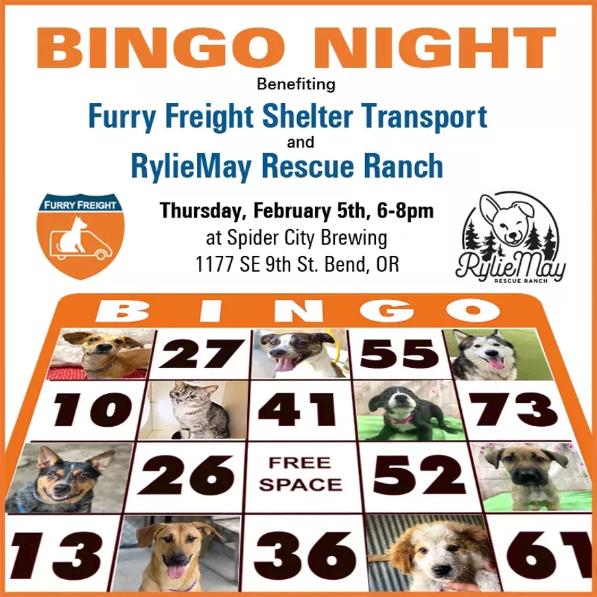 Bingo Benefiting Shelter Pets!
