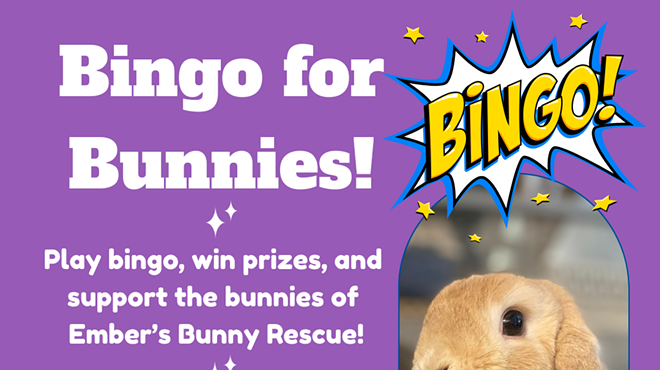 Image: Bingo for Bunnies