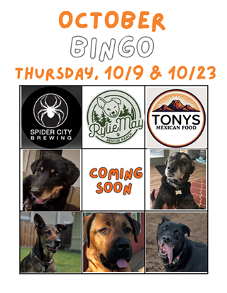 Image: Bingo for Rylie May Rescue Ranch