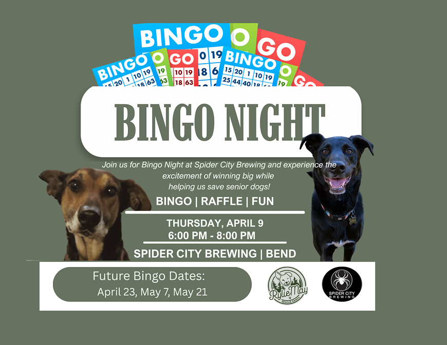 bingo_april_9.png