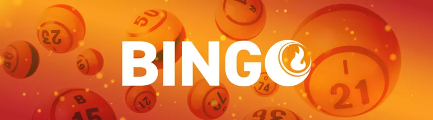 bingo_hero2.webp